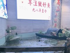 -楚鱼王·河鲜·湖北菜(华农店)