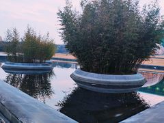 -金陵图书馆