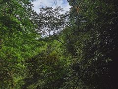-青城山