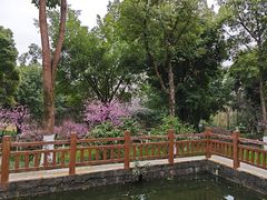 -大渡口区义渡公园