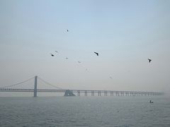-星海湾跨海大桥