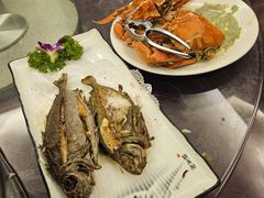 -南燕湾渔家码头