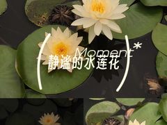 -三水森林公园