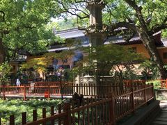 -普陀山风景名胜区-法雨禅寺