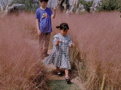 -南通洲际绿博园