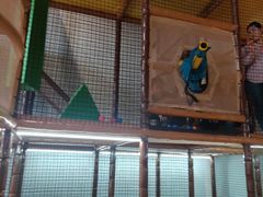 -蒙特利亲子乐园