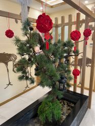 -芳朵美容养生SPA