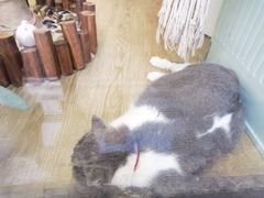 -牛喵喵铜锅牛肉馆