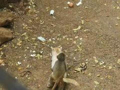 -昆明动物园