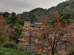 -杨家堂村