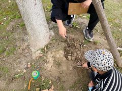 -春花秋色城市公园