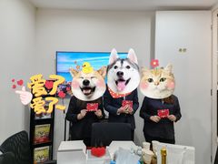 -BLACKSWAN黑天鹅(环球店)
