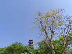 -红花山公园