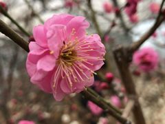-北京鹫峰国家森林公园