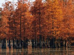 -白鹭湾湿地公园