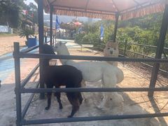 -金石滩蓝莓谷庄园