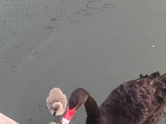 -玄武湖景区-情侣园游乐场