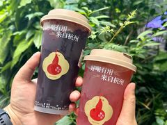 -炖物24章·顺时轻养茶(杭州大厦店)