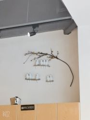 -京世沙龙