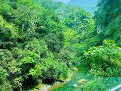-峨眉山风景名胜区