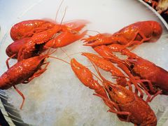 -红盔甲·小龙虾(天钥桥店)