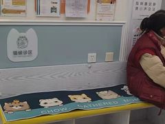 -纳吉亚猫专科动物医院·北北分院