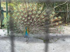 -珠海海泉湾神秘岛亲子乐园