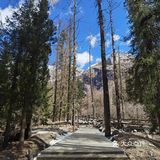 到双桥沟做回藏族姑娘