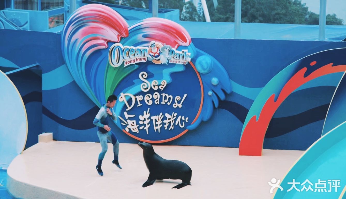 东方之珠一衣带水，永远是我们的一部分