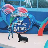 东方之珠一衣带水，永远是我们的一部分