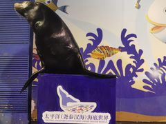 -太平洋海底世界