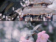 -茅家埠