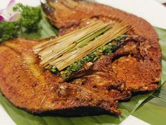 -紫滇源云南生态菜(丹凤街店)