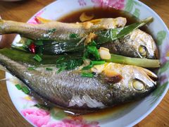 -南汇老顾农家乐采摘大团水蜜桃采摘店