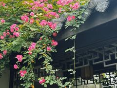 -金谷里艺术馆