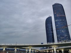 -演武大桥观景平台