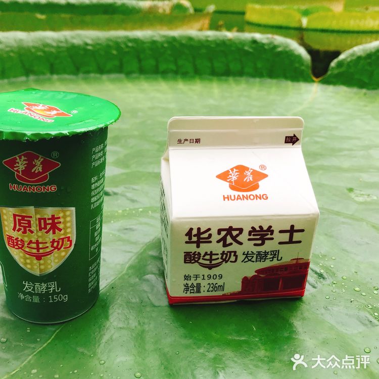  【攻略】跟着我一起玩转华南植物园