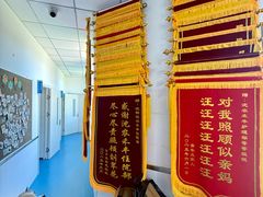 -派美特宠物医院·核磁CT·骨科肿瘤·疑难转诊(沈农禾丰店)
