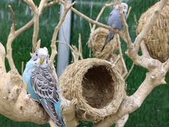 -荆州中山公园动物园