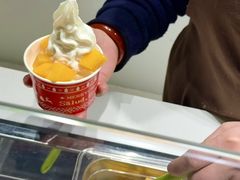 -Salud撒露欧洲冻酸奶(北苑上品店)