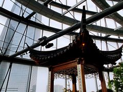 -上海中心大厦