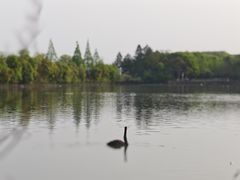 -艾溪湖湿地公园
