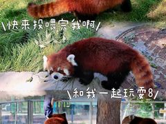 -水上乐园·欢乐世界