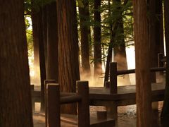 -东湖落雁景区