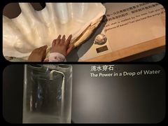 -1868 Café(上海自然博物馆店)