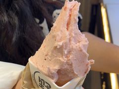 -野人牧坊Gelato(天津南开大悦城店)
