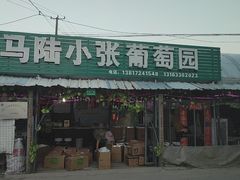 -马陆小张葡萄园农家乐