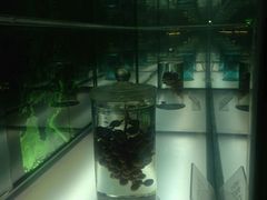 -青岛葡萄酒博物馆