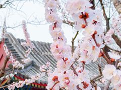 -宣武艺园
