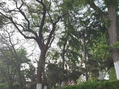 -烟台山景区